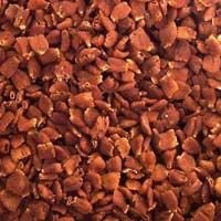 Mahua Seeds