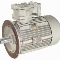 Increased Safety Motor