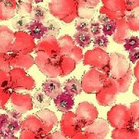 Cotton Digital Printed Fabric
