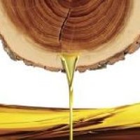 Sandalwood Perfume