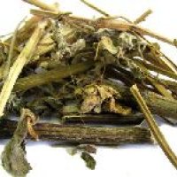 Apamarga