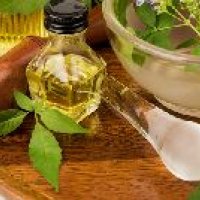 Nirgundi Oil