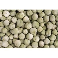Pea Seeds