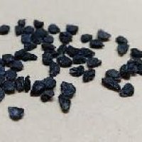 Leek Seed