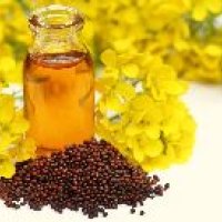 Refined Mustard Oil