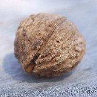 359565-211.jpg