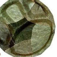 359586-172.jpeg