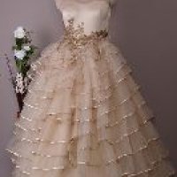 Ladies Net Gowns