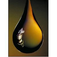 CNG Oil