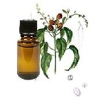 Croton Oil