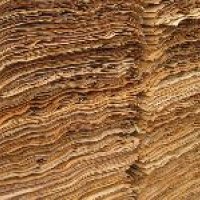 Rubber Core Veneer