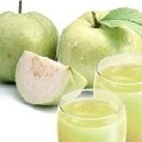 Guava Concentrate