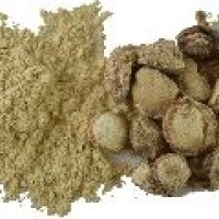 Kapur Kachri Powder