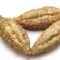 Arrowroot