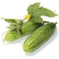 Cucumber Extract