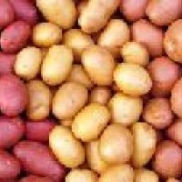 Sugar Free Potato