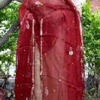 Kota Silk Dupatta