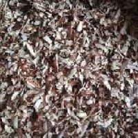 Coconut Peelings