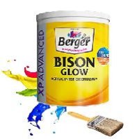 Berger Interior Paint