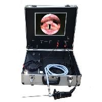 363886-543.jpg