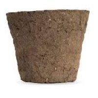 Cow Dung Pot