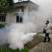 Mosquitoes Control Service