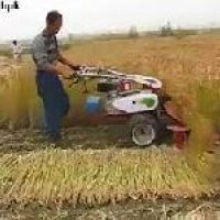 Rice Cutting Machine