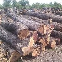 Rose Wood log