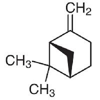 Beta Pinene
