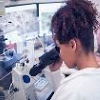Testing Laboratories