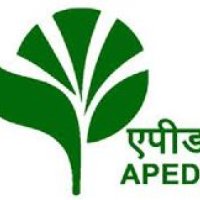APEDA Registration