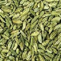 Green Fennel Seeds