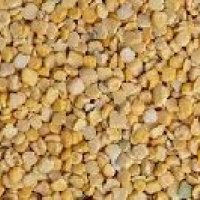 Khesari Dal