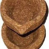 Cow Dung Diya
