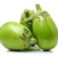 Green Brinjal