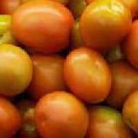 Fresh Jujube