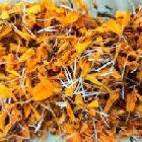 Dried Marigold Petals