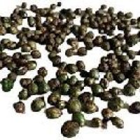 Curry Leaf Seeds