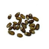 Rosemary Seeds