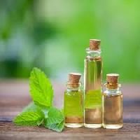 Catnip Oil