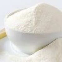 Cow Milk Powder