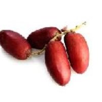 Fresh red Dates