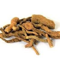 Salacia Reticulata Roots