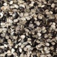 Split Urad Dal