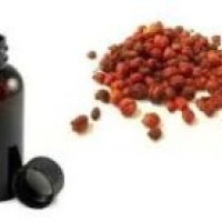 Malkangani Oil