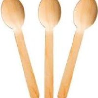 Biodegradable Spoon