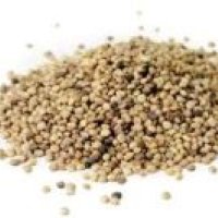 Guar Seeds