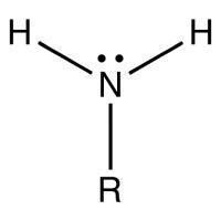 63767-450.jpg