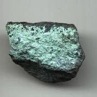 69351-1.jpg