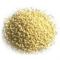 Biodegradable Masterbatches